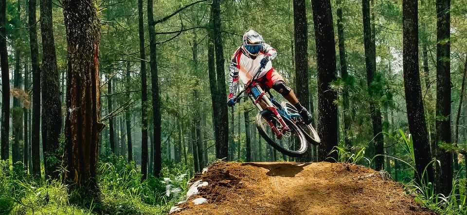 motorbike in woods