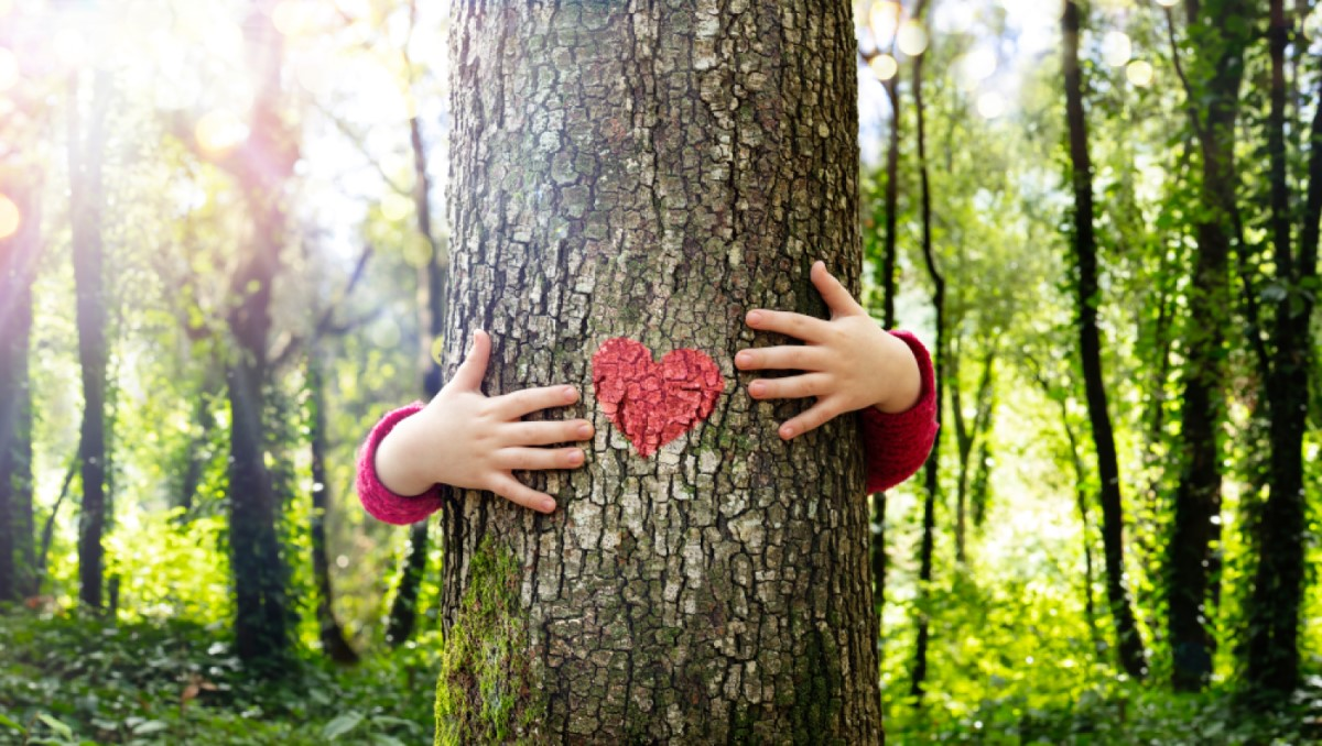 child hugging a tree